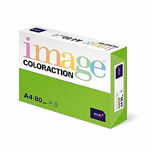 Hartie color Coloraction, A4, 80 g/mp, verde intens-Java 500 coli/top