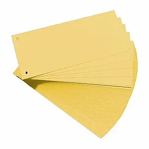 Separatoare Exacompta, color, 105 x 240 mm