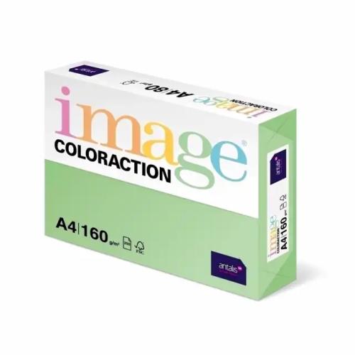 Carton color Coloraction, A4, 160 g/mp, verde padure-Forest, 250 coli/top