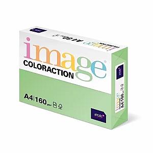 Carton color Coloraction, A4, 160 g/mp, verde padure-Forest, 250 coli/top